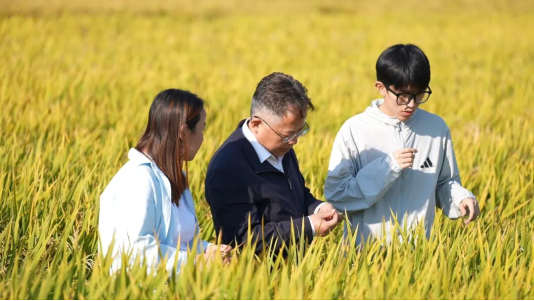 吉农植保护航粮食安全——科技赋能良田 匠心守护丰收